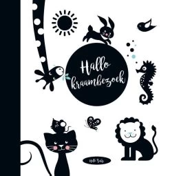 Hello - Baby's Eerste Jaar -Babyproducten 1164x1200