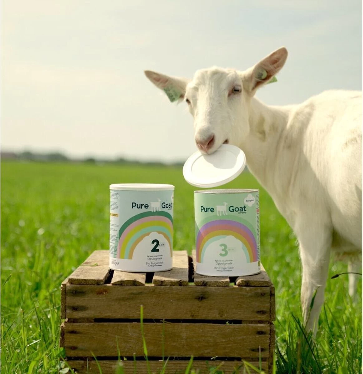 Pure Goat Company - Volledige Zuigelingenvoeding 1 - 800 Gram 4 Pure Goat Company - Volledige Zuigelingenvoeding 1 - 800 Gram - Afbeelding 2