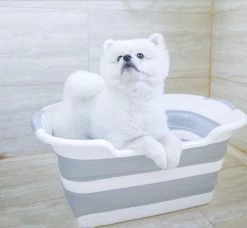 Merkloos Baby Badje Opvouwbaar - Multifunctioneel - Wasmand - Opbergmand - Speelgoed Opslag - Babybadje 15 Merkloos Baby Badje Opvouwbaar - Multifunctioneel - Wasmand - Opbergmand - Speelgoed Opslag - Babybadje -Babyproducten 1200x1108 15