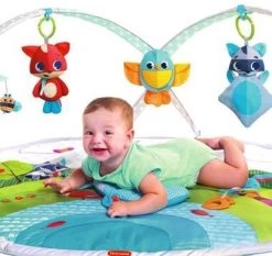 Tiny Love Dynamic Babygym - Meadow Days -Babyproducten 1200x1134 1