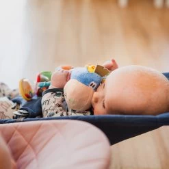 Playgro Clip Clop Rammelaar - Blauw - Activiteitenspeeltje - Kraamkado -Babyproducten 1200x1200 138