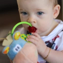 Playgro Clip Clop Rammelaar - Blauw - Activiteitenspeeltje - Kraamkado -Babyproducten 1200x1200 140