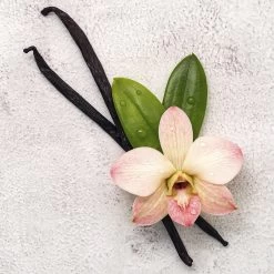 Disney Frozen Frozen Ll - Geurset - Parfum 50ml + Douche Gel 100ml - Cadeautip! 15 Disney Frozen Frozen Ll - Geurset - Parfum 50ml + Douche Gel 100ml - Cadeautip! -Babyproducten 1200x1200 3365