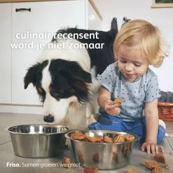 Friso 2 Babyvoeding - Opvolgmelk - 6 Tot 10 Maanden - 800g - Blik -Babyproducten 1200x1200 3646