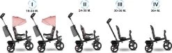 Lionelo Haari - Driewieler - Drankhouder - 2in1 - Tot 36+ -Babyproducten 1200x368