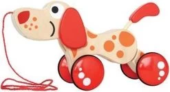Hape Walk-a-long Puppy 25 Hape Walk-a-long Puppy -Babyproducten 1200x649