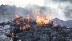 ECOBOOM Bamboe Eco Wegwerp Luiers 90 STUKS - Maat 1, Maat 2 (Small 3-8kg) - Bambo Luier - Meest Natuurlijke, Duurzame En Ecologisch Bamboo Luierbroekje- Organische Wegwerpluier - Eco Luiers - Bio Luiers -Babyproducten 1200x679 4