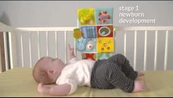 Taf Toys Activity Center Voor Aan De Box, Campingbed Of Los Te Gebruiken, Met Muziek En Licht – 0 Tot 24 Maanden -Babyproducten 1200x682 1