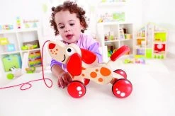 Hape Walk-a-long Puppy 16 Hape Walk-a-long Puppy -Babyproducten 1200x799 1