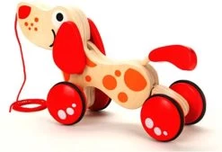 Hape Walk-a-long Puppy 23 Hape Walk-a-long Puppy -Babyproducten 1200x820
