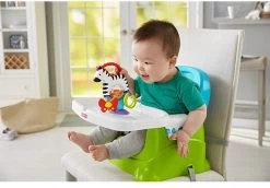 Fisher Price - Activity Zebra - Rammelaar - Speeltje En Bijtring - Grijpspeelgoed -Babyproducten 1200x835
