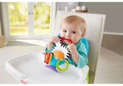 Fisher Price - Activity Zebra - Rammelaar - Speeltje En Bijtring - Grijpspeelgoed -Babyproducten 1200x842 1