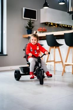 Lionelo Haari - Driewieler - Drankhouder - 2in1 - Tot 36+ -Babyproducten 800x1200 164