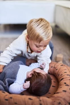 Jollein Babynest Spot 90x52cm - Caramel 37 Jollein Babynest Spot 90x52cm - Caramel -Babyproducten 800x1200 453