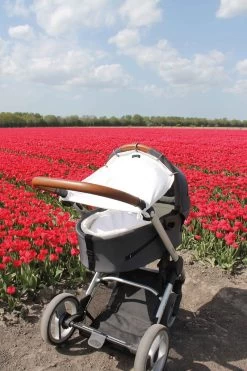 Dooky Universal Cover Zonnescherm Kinderwagen - Crème 16 Dooky Universal Cover Zonnescherm Kinderwagen - Crème -Babyproducten 800x1200 60