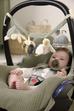 Wagenspanner Little Goose - Little Dutch -Babyproducten 800x1200 62