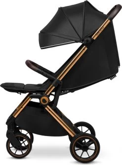 Lionelo Buggy Cloe - Kinderwagen Premium + - Tot 22 Kg - Verstelbare Rugleuning - 5-punts Veiligheidsgordels - Grote Zwenkwielen - Klamboe - Bekerhouder - Lichtgewicht - Compact - Waterdicht -Babyproducten 881x1200 2